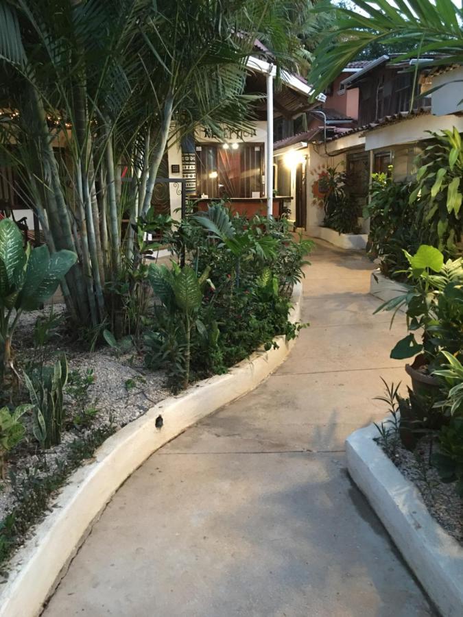 Pura Vida Hostel 타마린도 외부 사진