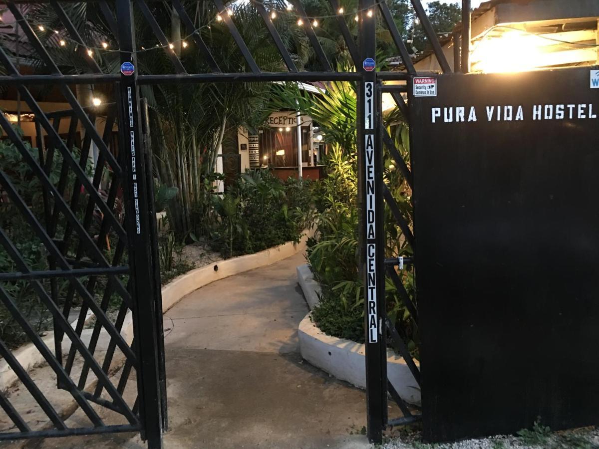 Pura Vida Hostel 타마린도 외부 사진