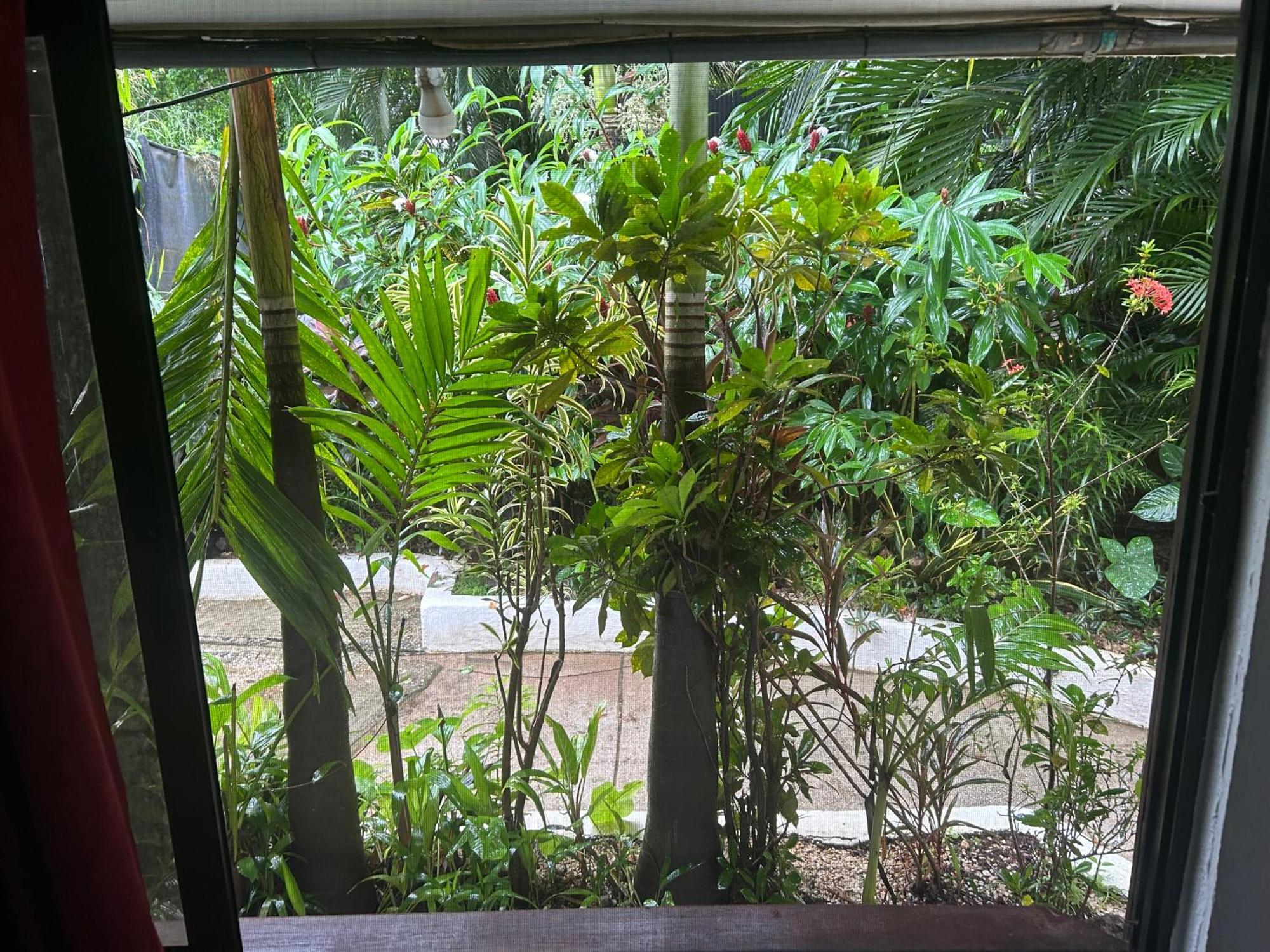 Pura Vida Hostel 타마린도 외부 사진