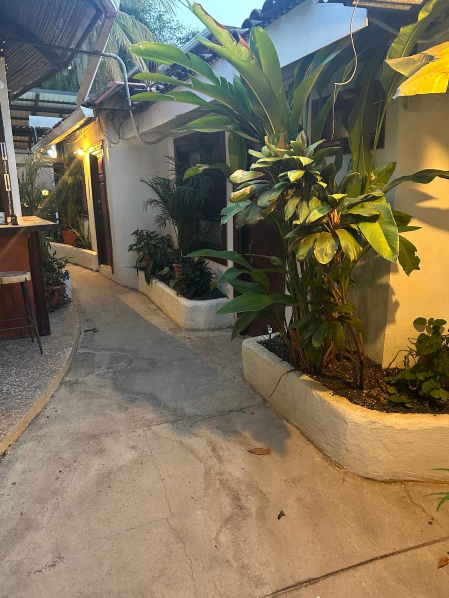 Pura Vida Hostel 타마린도 외부 사진