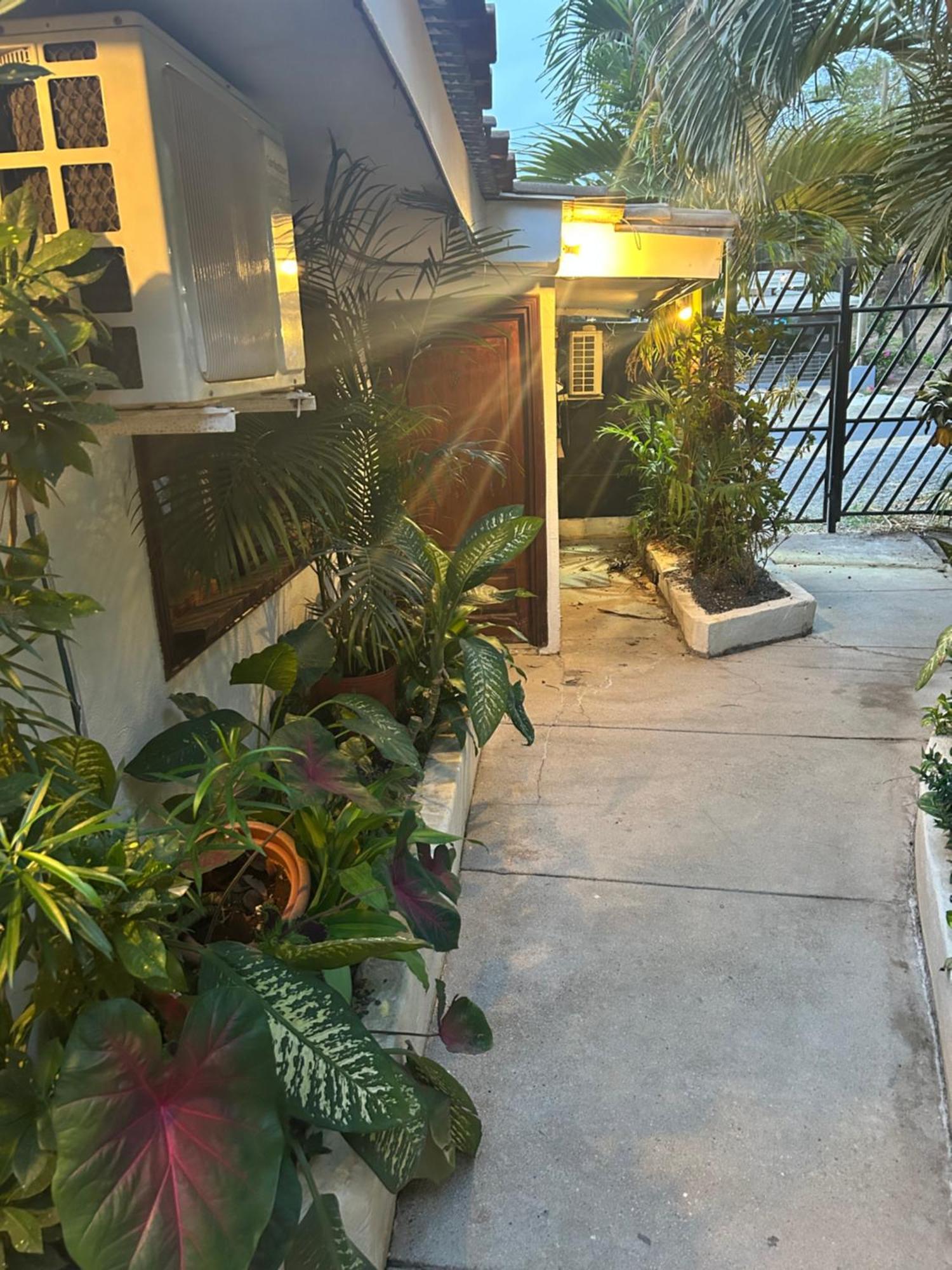 Pura Vida Hostel 타마린도 외부 사진