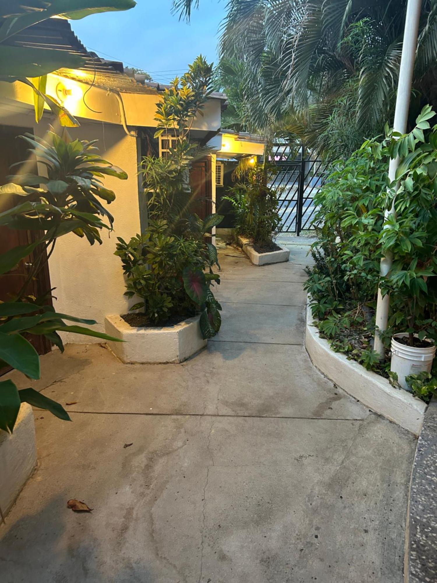 Pura Vida Hostel 타마린도 외부 사진