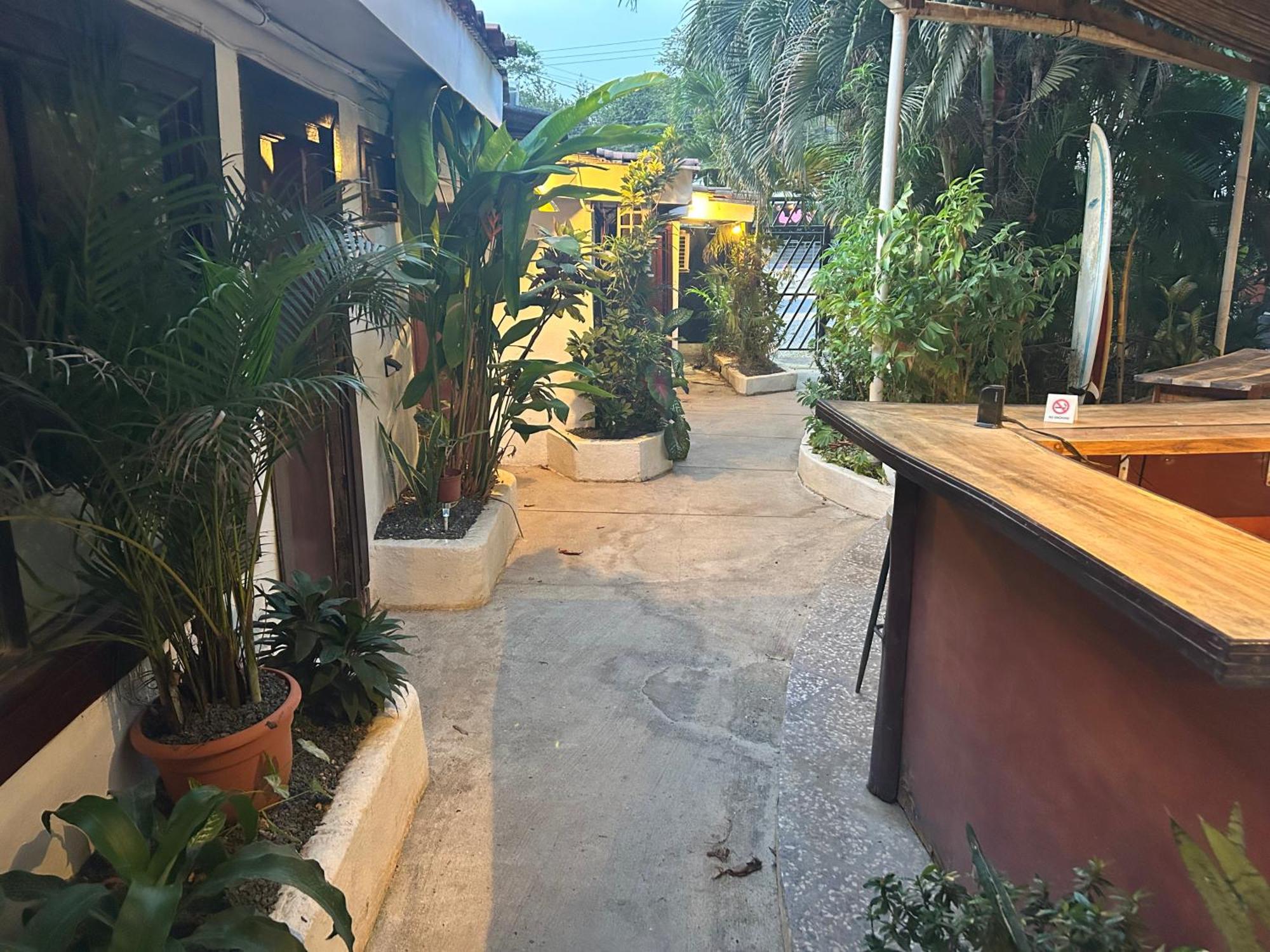 Pura Vida Hostel 타마린도 외부 사진