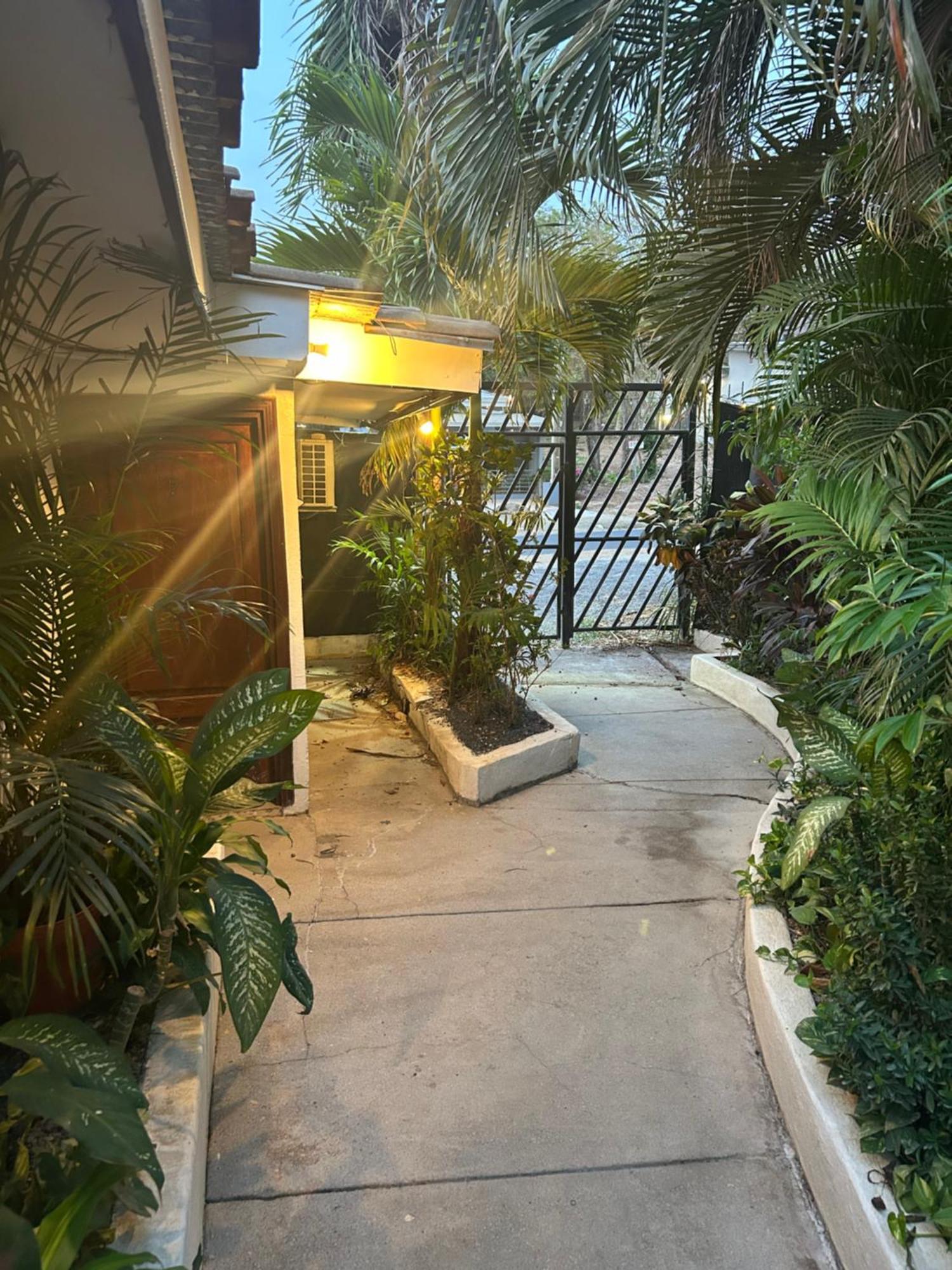 Pura Vida Hostel 타마린도 외부 사진
